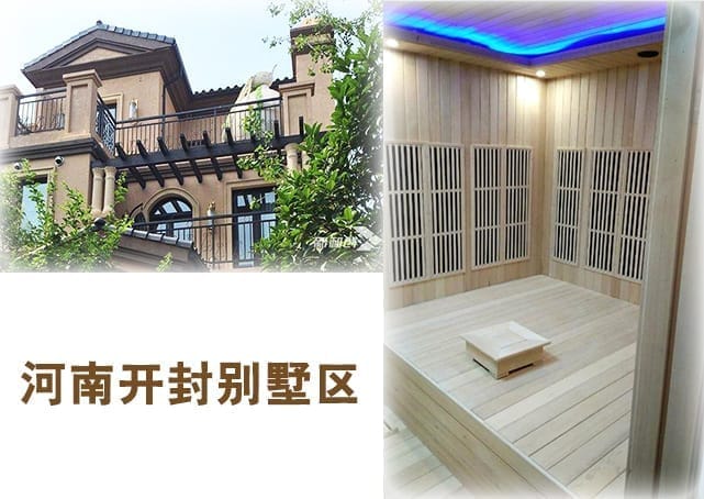 河北家用干蒸桑拿产品